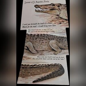 St. Augustine Gator Souvenir Card Trio